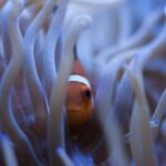 Сонник: Черви в воде