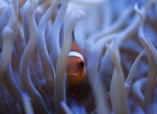 Сонник: Черви в воде