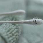 Толкование снов: черви и личинки