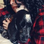 Сны о бродячих собаках: толкование для женщин