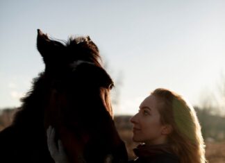 Больная лошадь во сне женщины: толкование