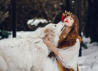 Декабрьский и Январский Козероги: В чем Разница?