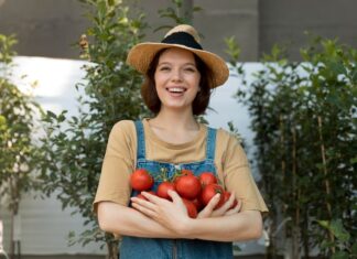 К чему снятся красные помидоры на грядке