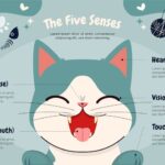 Телеграм для кошек и котят: общение на понятном языке