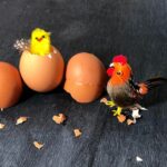 Курица на яйцах: толкование сна