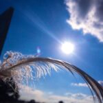 Солнце в Овне: влияние на 11 дом