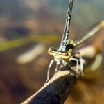 Изготовление сигнализатора поклевки для фидера своими руками