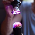 Изготовление кварцевой лампы в домашних условиях