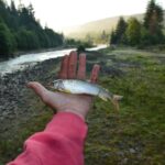 Поймать щуку руками во сне: толкование