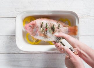 Простой рецепт засолки горбуши в домашних условиях