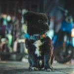 Watch Dogs 2: Проблемы с сервисами Ubisoft