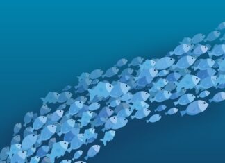 Видеть во сне много рыбы в воде: толкование сна