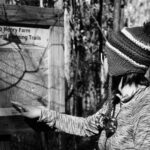 Сонник: значение сна о просмотре старых графиков