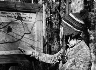 Сонник: значение сна о просмотре старых графиков