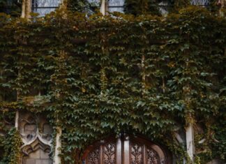 Шк портал Московской области: вход через ЕСИА