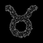 День рождения знака зодиака Стрелец