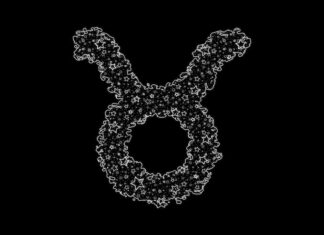 День рождения знака зодиака Стрелец