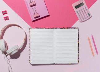 Электронный школьный дневник в Тульской области