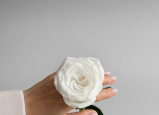 Толкование сна: белая роза