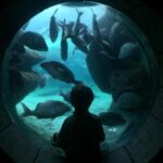 Сны о жизни под водой: символы и толкования