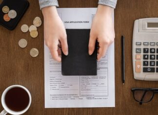 Как найти требования налоговой в СБИС