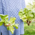 Салат «Козел в огороде»: рецепт с фото