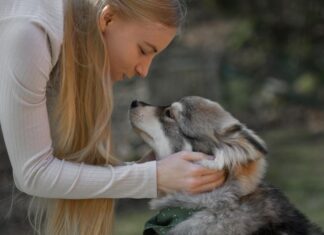 Как поддержать человека, у которого умер питомец