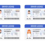 Водительское удостоверение: серия и номер