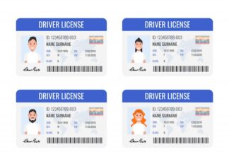 Водительское удостоверение: серия и номер