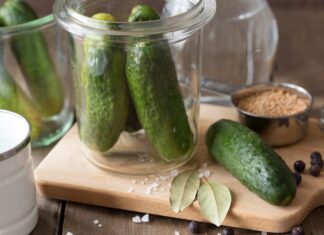 Рецепты соленых огурцов на зиму