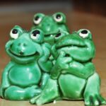 К чему снятся лягушки: толкование сна