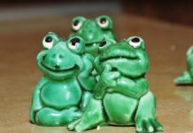 К чему снятся лягушки: толкование сна