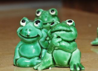 К чему снятся лягушки: толкование сна