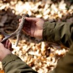 Толкование сна: Копать червей для рыбалки