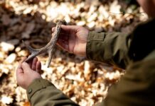 Толкование сна: Копать червей для рыбалки