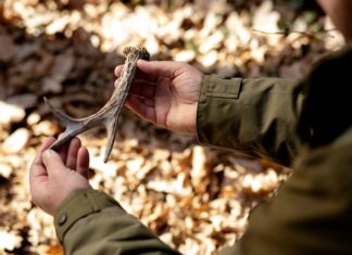 Толкование сна: Копать червей для рыбалки