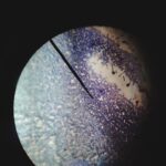 Синастрия: Юпитер в квадрате с Луной