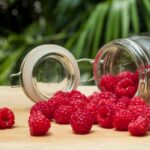 Настойка из малины: пошаговый рецепт