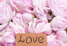 Цветы и женщины: Красивые цитаты