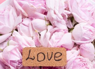 Цветы и женщины: Красивые цитаты