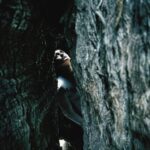 Страх падения во сне: что это значит?