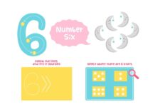 Серия и номер вуза: где их найти?