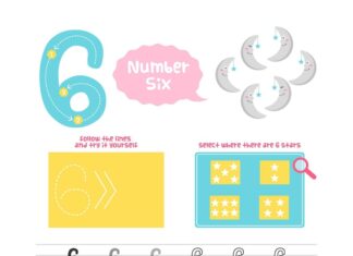 Серия и номер вуза: где их найти?