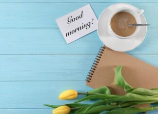 Цитата дня для отличного настроения