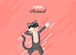 К чему снится летающий кот