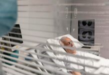 Заброшенная больница во сне: к чему это снится?