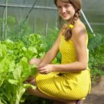 Сны об овощах на грядках