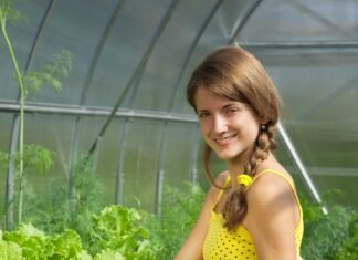 Сны об овощах на грядках