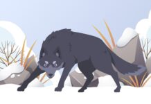 К чему снится укус волка