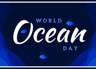 Подпись под волнами моря